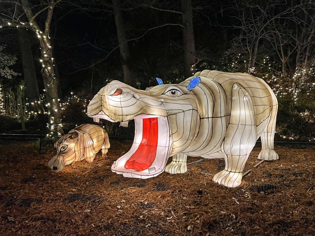 Festival of Lights At Cincinnati Zoo 