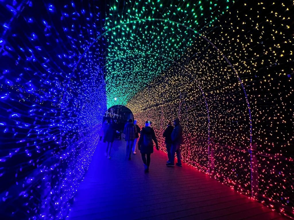 Festival of Lights At Cincinnati Zoo 