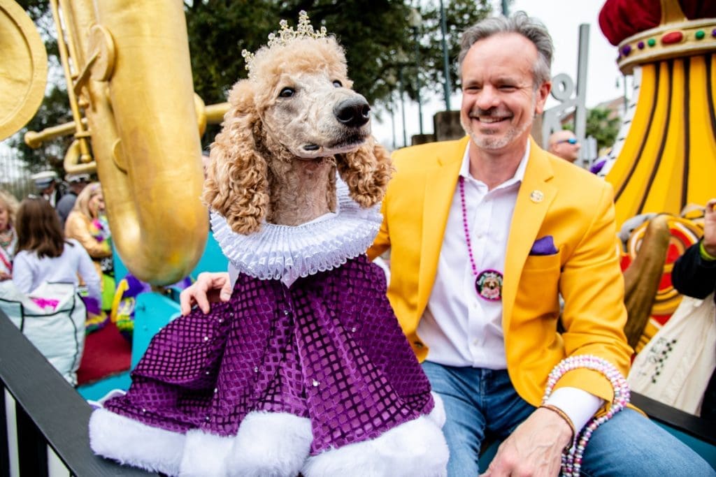 Mastering Mardi Gras: Insider Tips