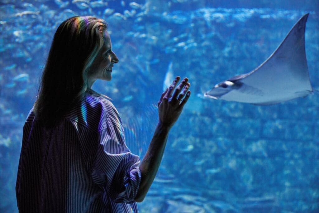 SeaWorld Celebrates 60 Years With New Rides And Attractions