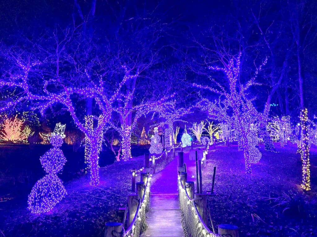 ChristmasTown 2024 At The Creation Museum