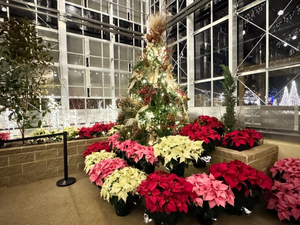 ChristmasTown 2024 At The Creation Museum
