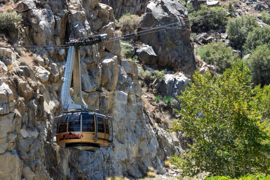 Where To Eat  Stay and Play in Palm Springs